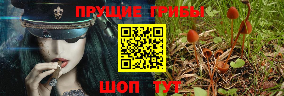 Ивантеевка  Псилоцибиновые грибы Magic Shrooms  Вход с VPN 